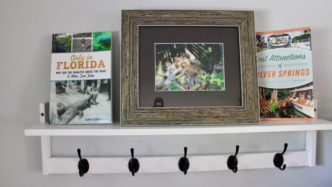 Photo of Others in Ocklawaha