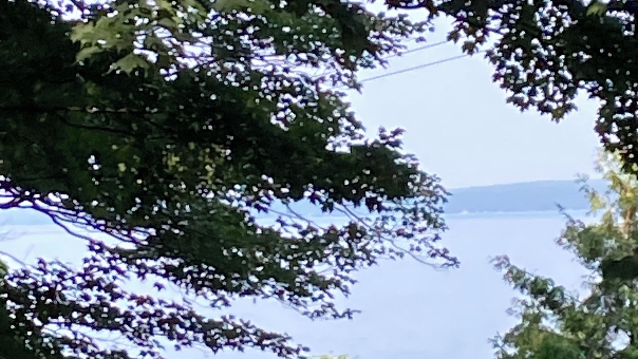 Photo of Outdoor in Alanson