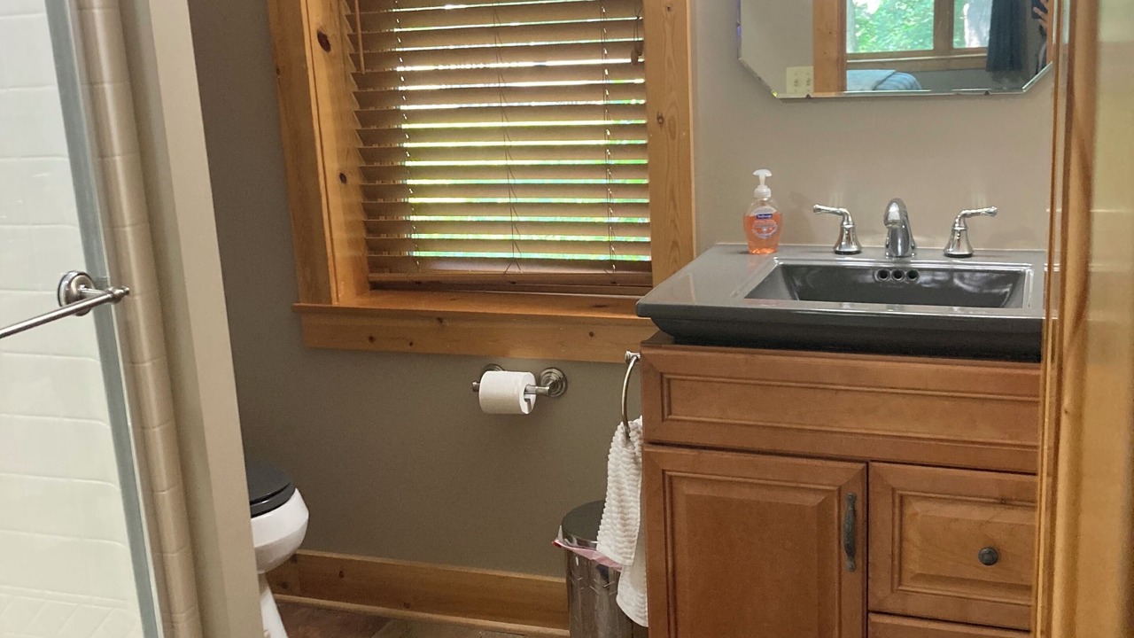 Photo of Bathroom in Alanson