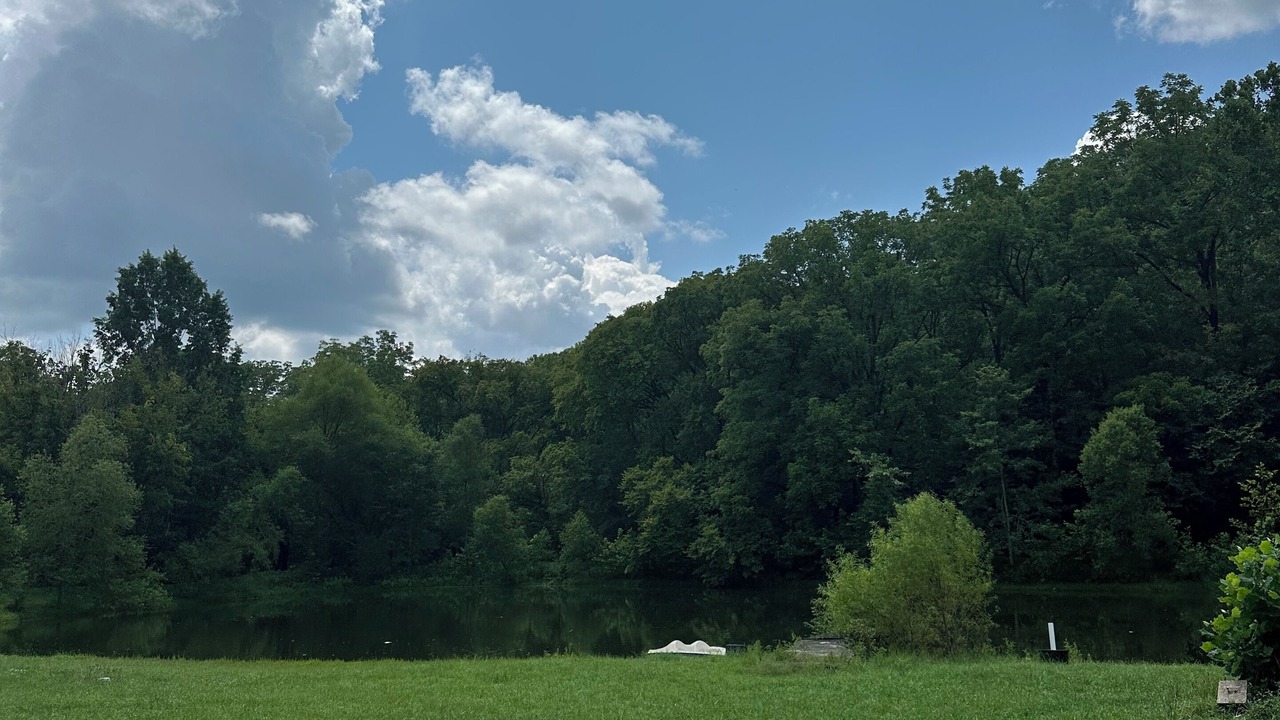 Photo of Others in Pulaski
