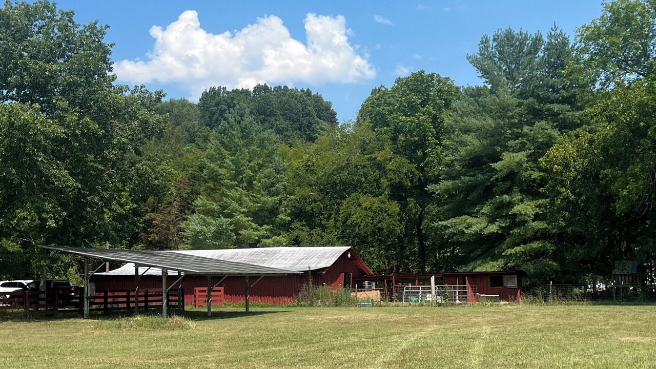 Photo of Outdoor in Pulaski