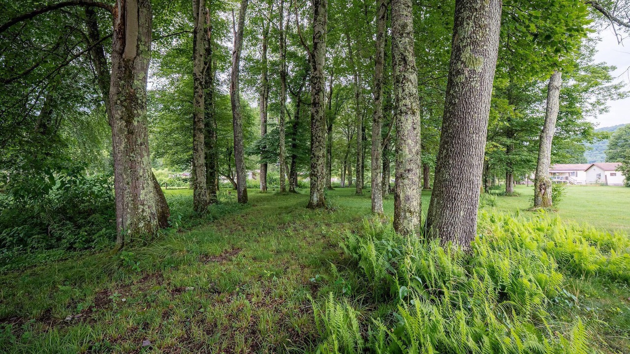 Photo of Others in Summersville