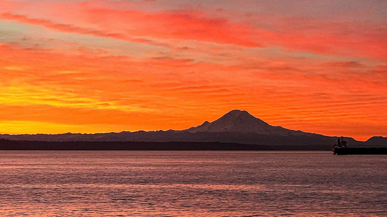 Photo of Others in Bainbridge Island