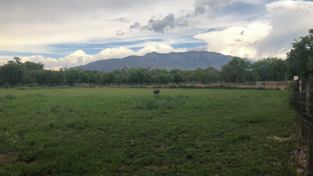 Photo of Outdoor in Corrales