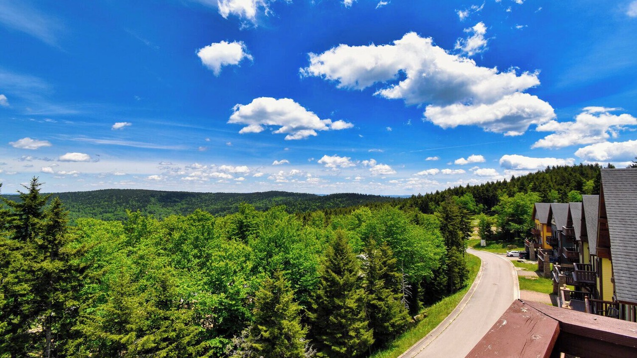 Photo of Outdoor in Snowshoe