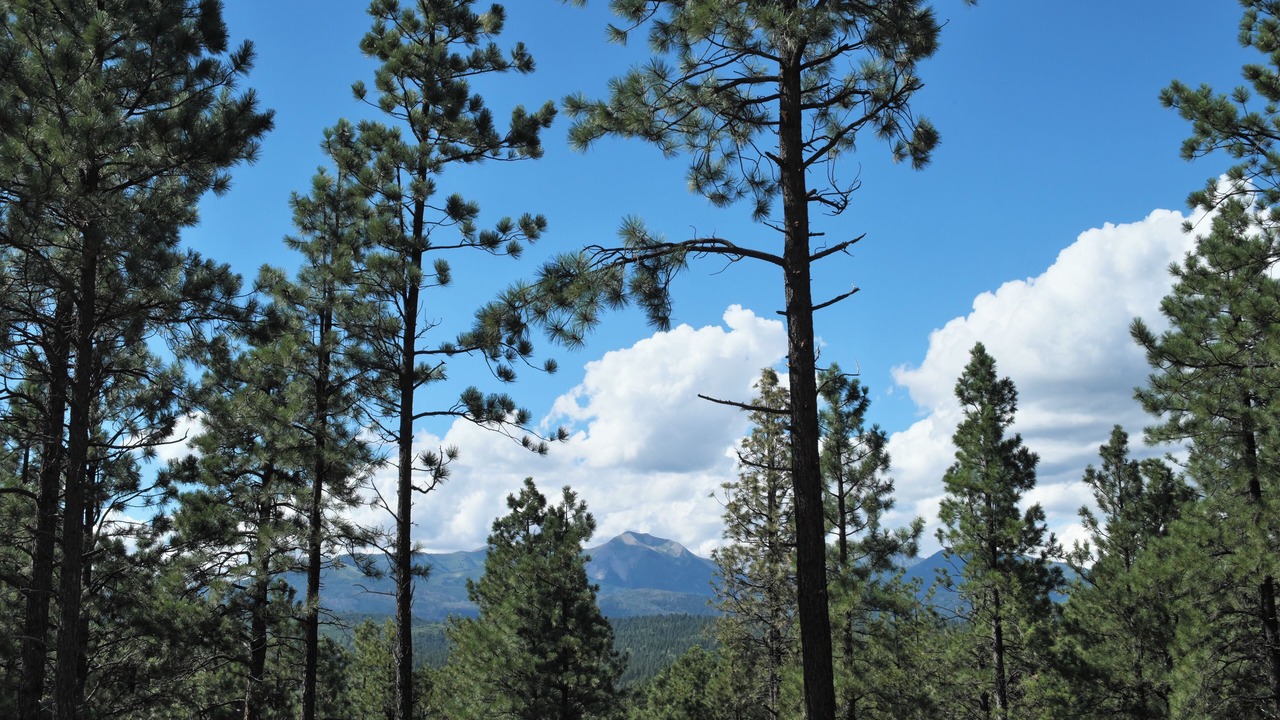 Photo of Outdoor in Durango