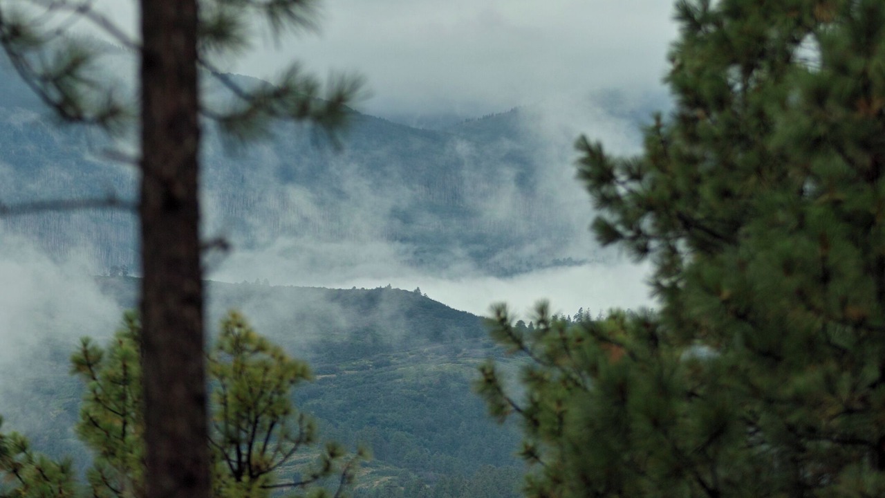 Photo of Outdoor in Durango