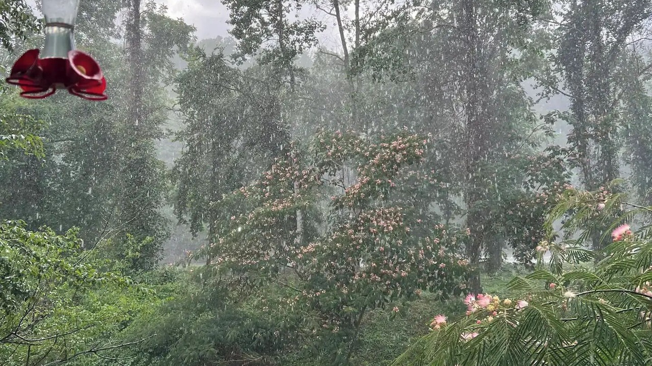 Photo of Outdoor in Del Rio