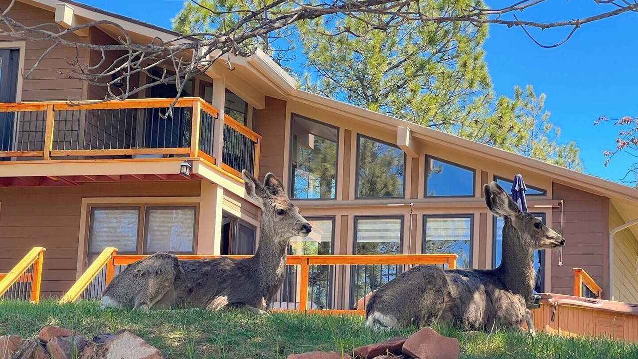 Photo of Outdoor in The Pinery