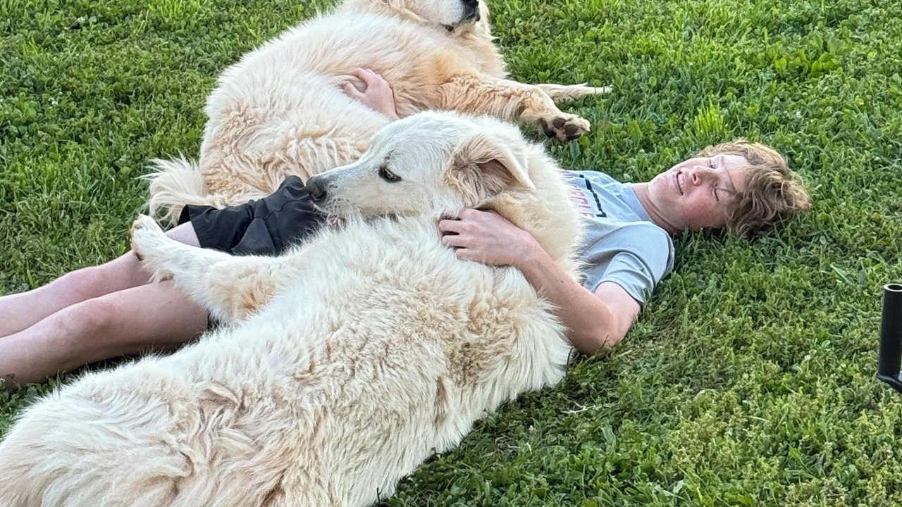 Photo of Others in Social Circle