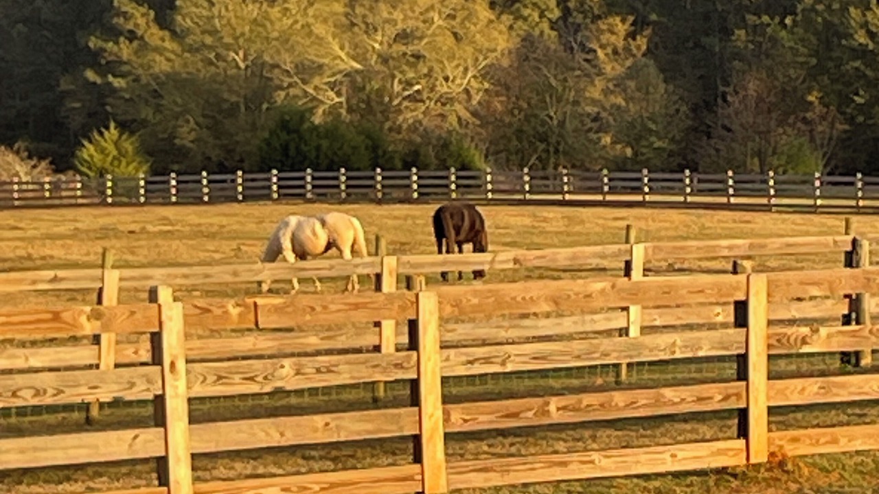 Photo of Others in Social Circle