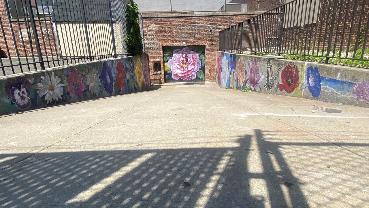 Photo of Outdoor in Queens