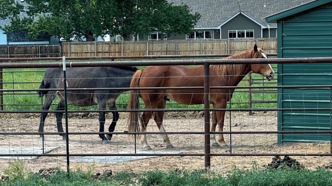 Photo of Outdoor in Canon City
