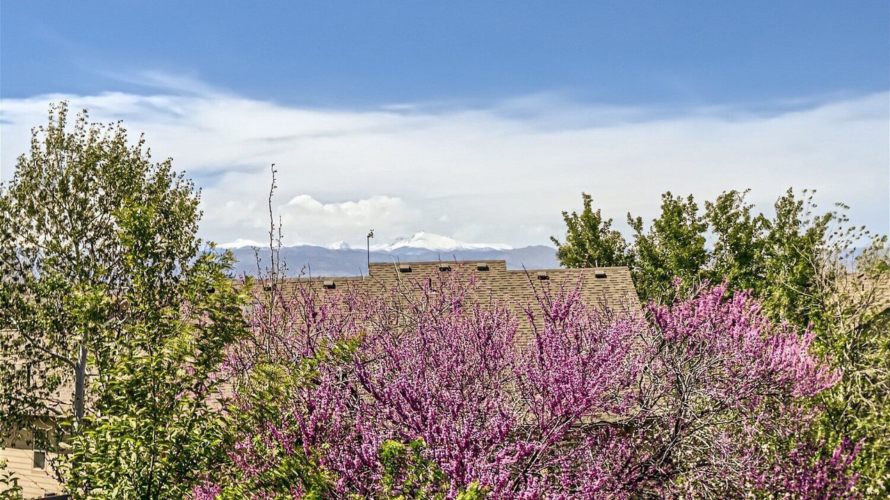 Photo of Outdoor in Broomfield