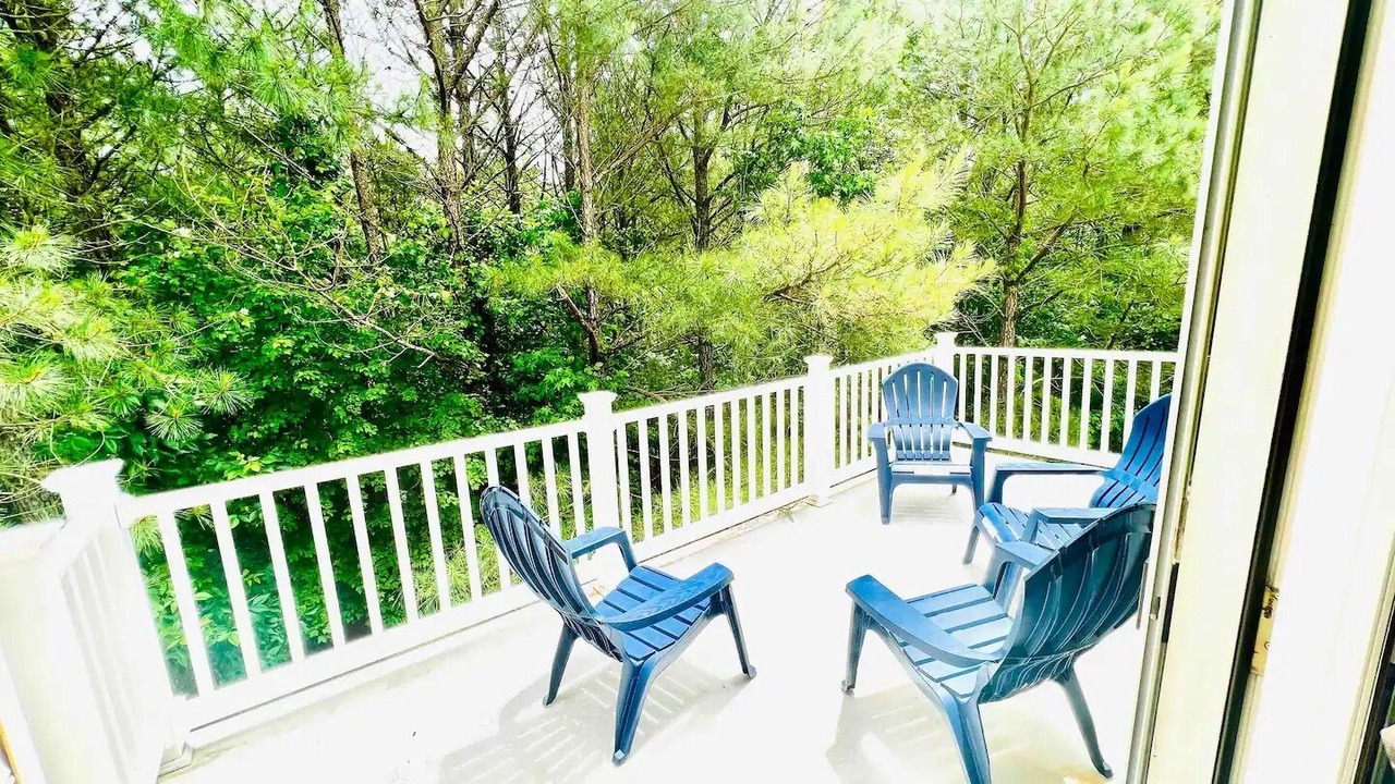 Photo of Outdoor in Bayside