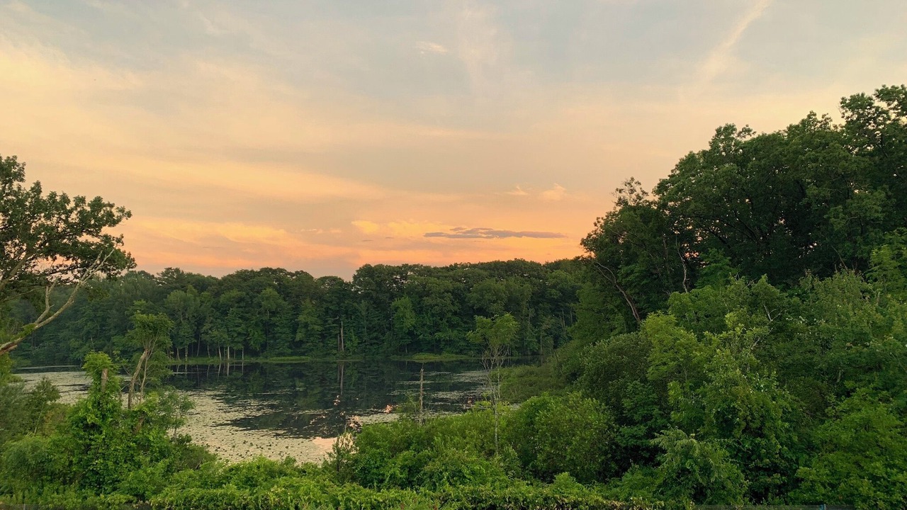 Photo of Others in Cohasset