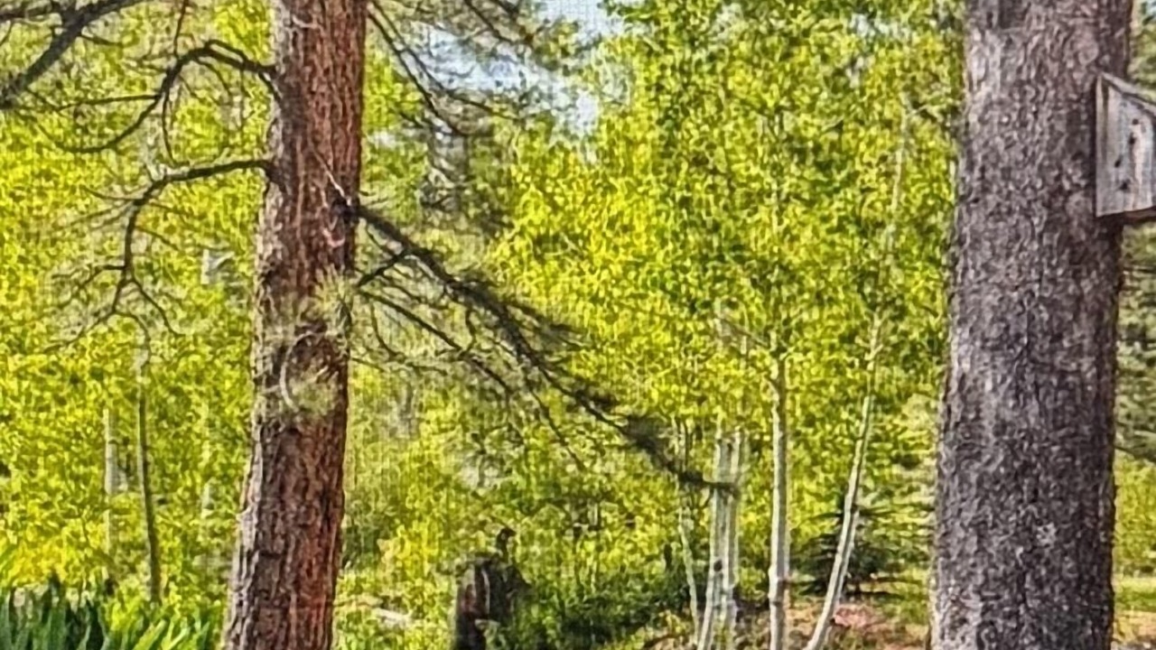 Photo of Outdoor in Rustic