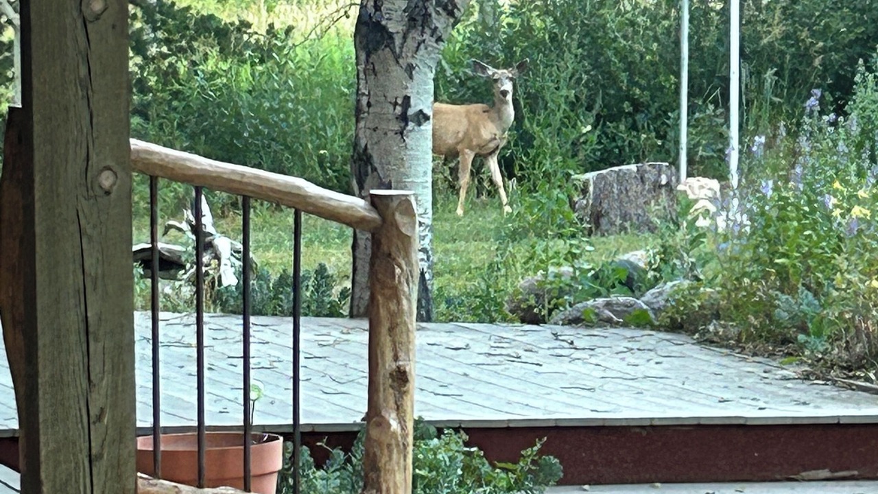 Photo of Outdoor in Rustic