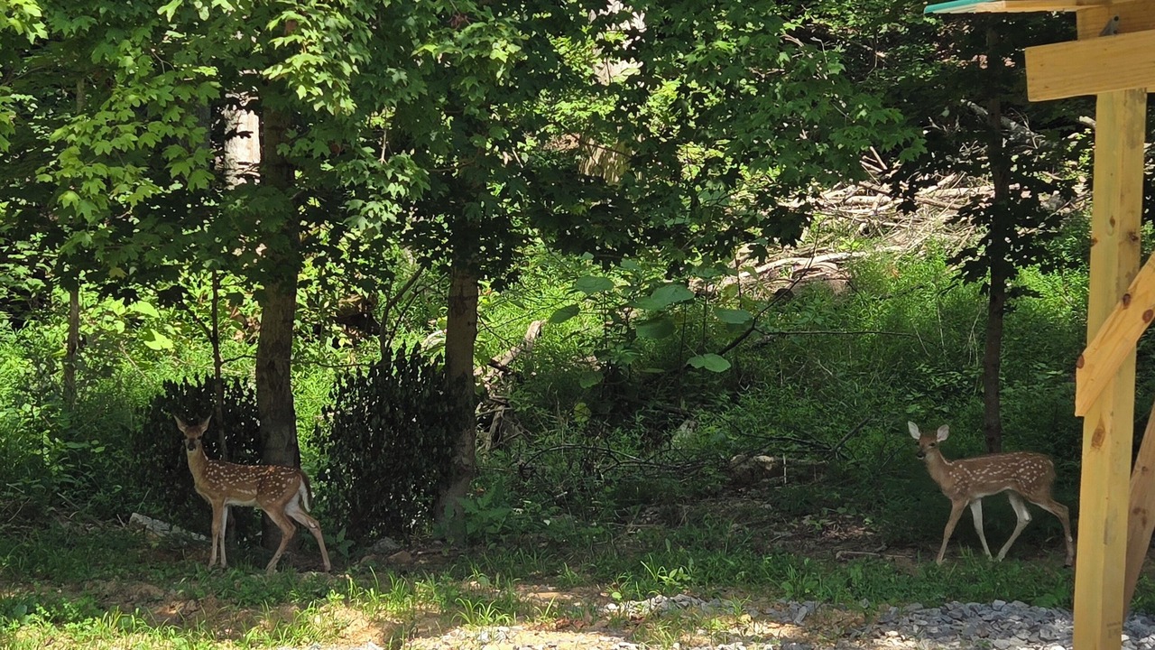 Photo of Outdoor in Cadiz