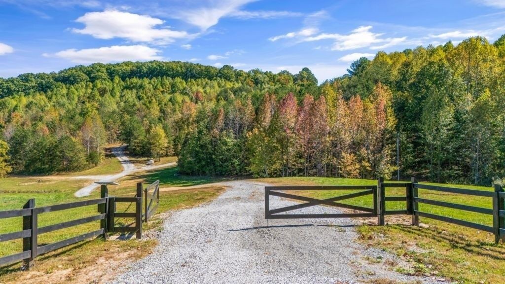 Photo of Others in Tellico Plains