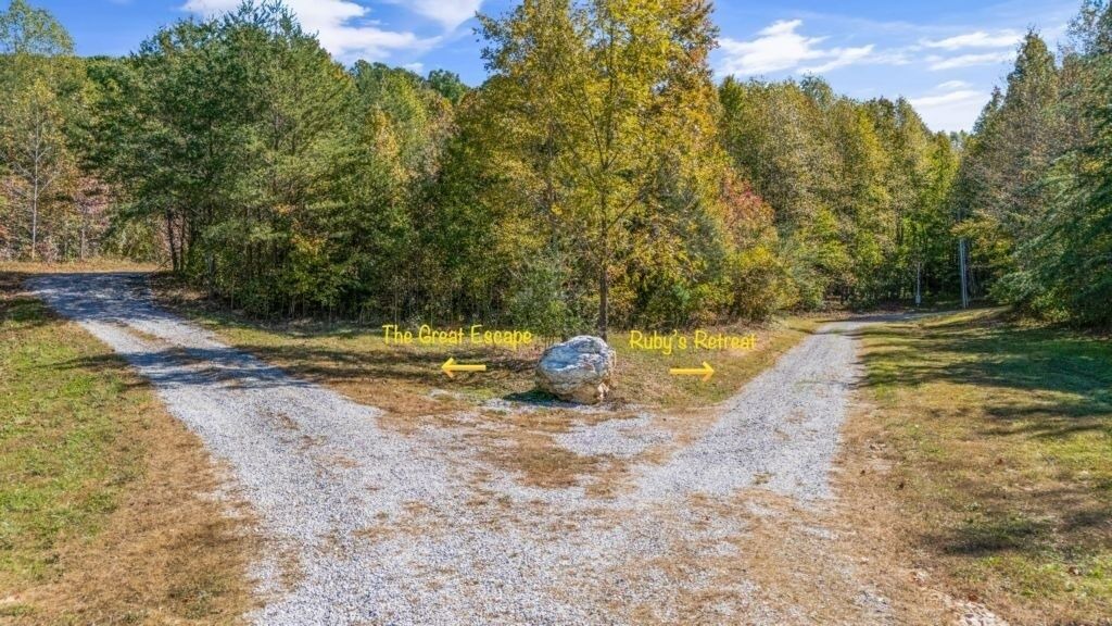 Photo of Others in Tellico Plains
