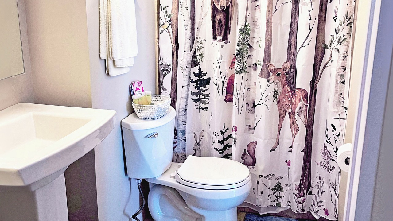 Photo of Bathroom in Phoenixville