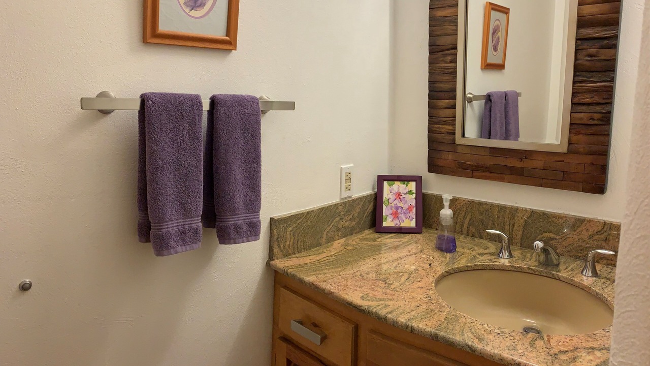 Photo of Bathroom in South Capitol