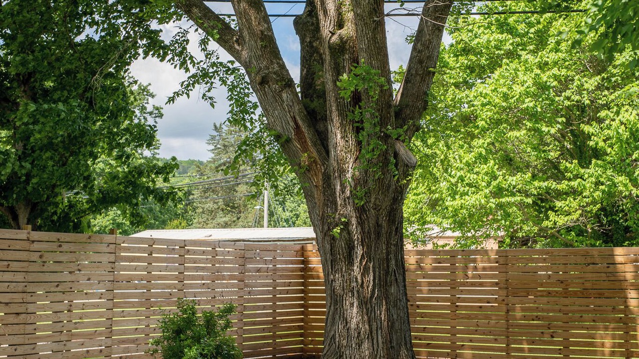 Photo of Outdoor in Doyle