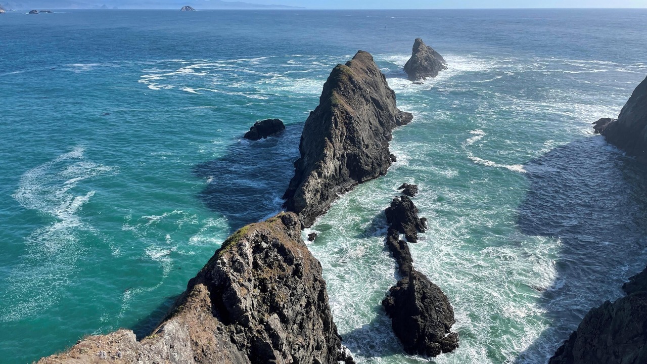 Photo of Others in Port Orford