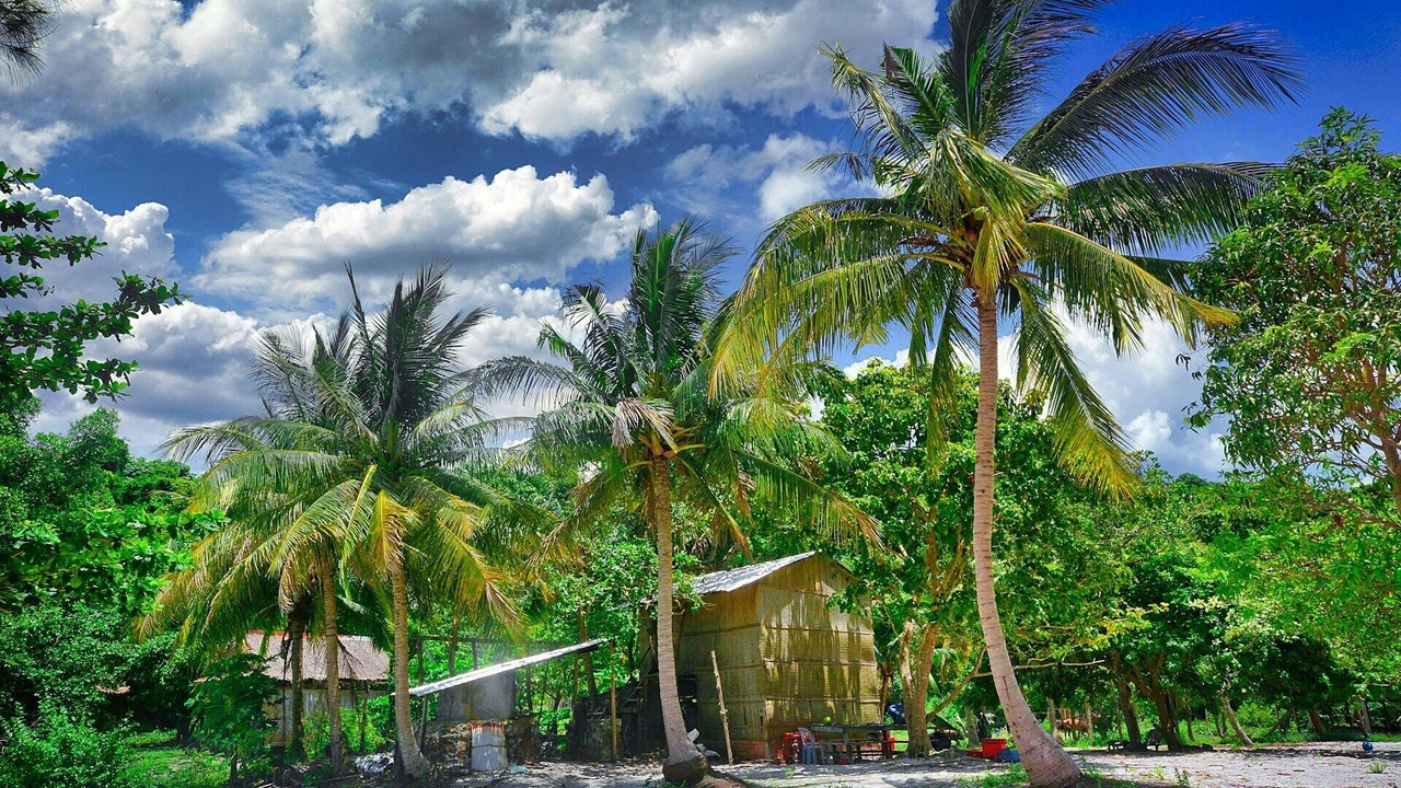 Photo of Outdoor in Lake Forest
