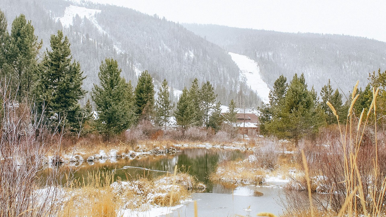 Photo of Others in Mountain House