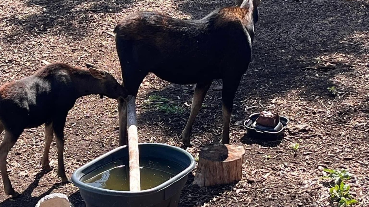 Photo of Others in Timber Lakes