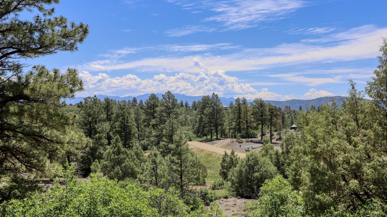 Photo of Others in Pagosa Meadows IV