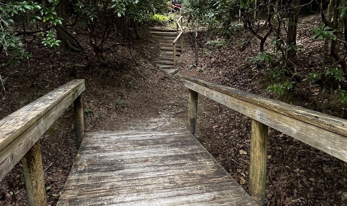 Photo of Outdoor in Salem