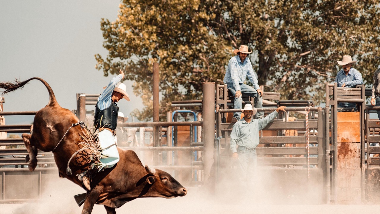Photo of Others in Fruita