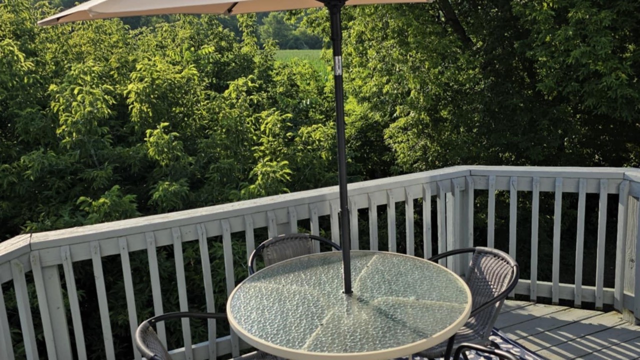 Photo of Outdoor in East Homer