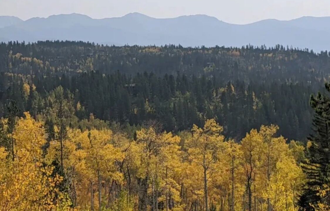 Photo of Others in Winter Park Highlands