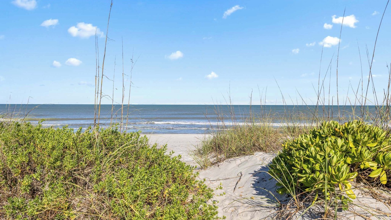 Photo of Others in Crescent Beach