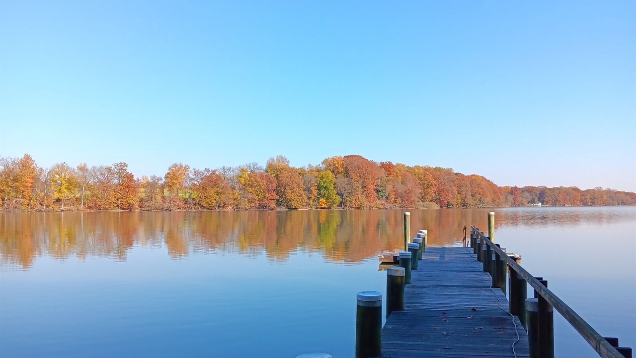 Photo of Outdoor in Magnolia