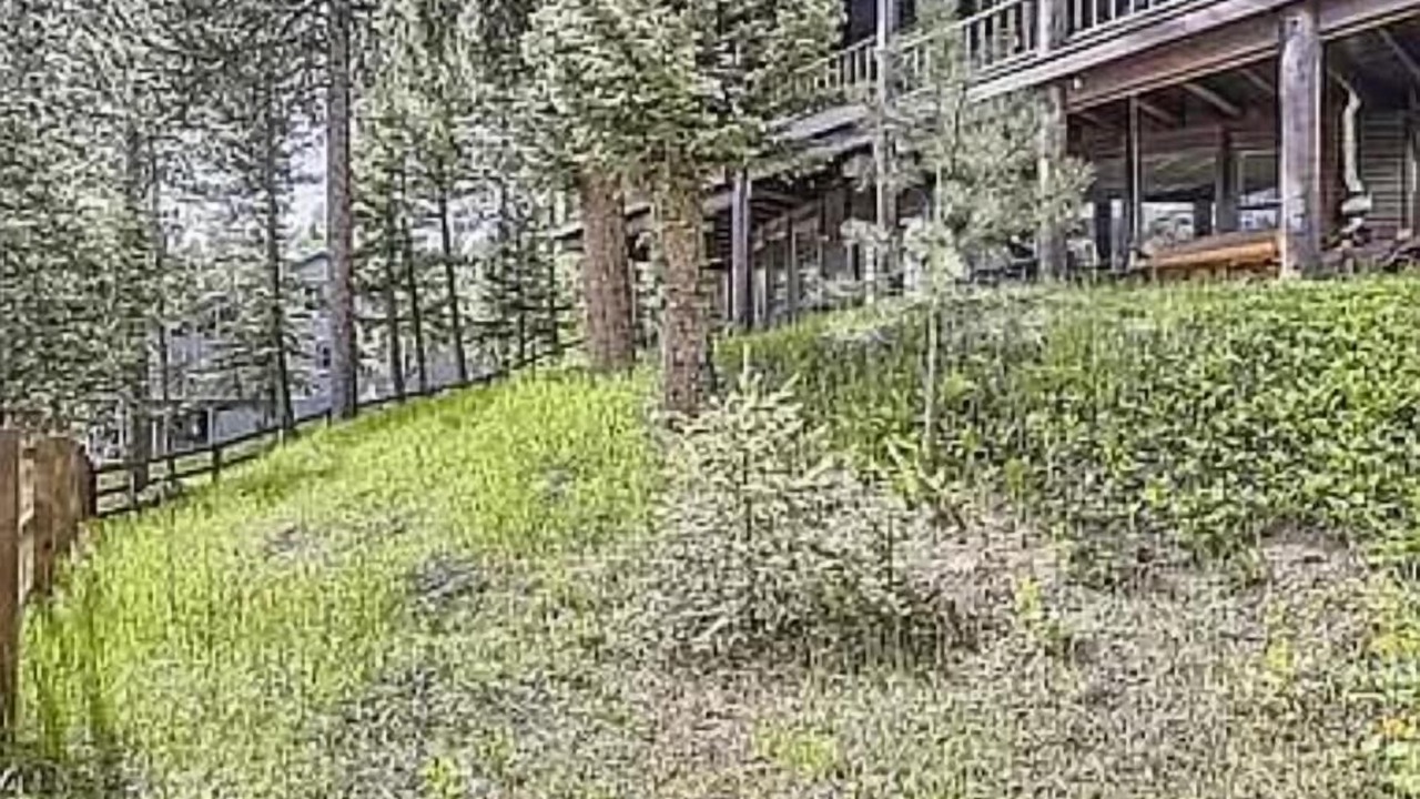 Photo of Outdoor in Lyons