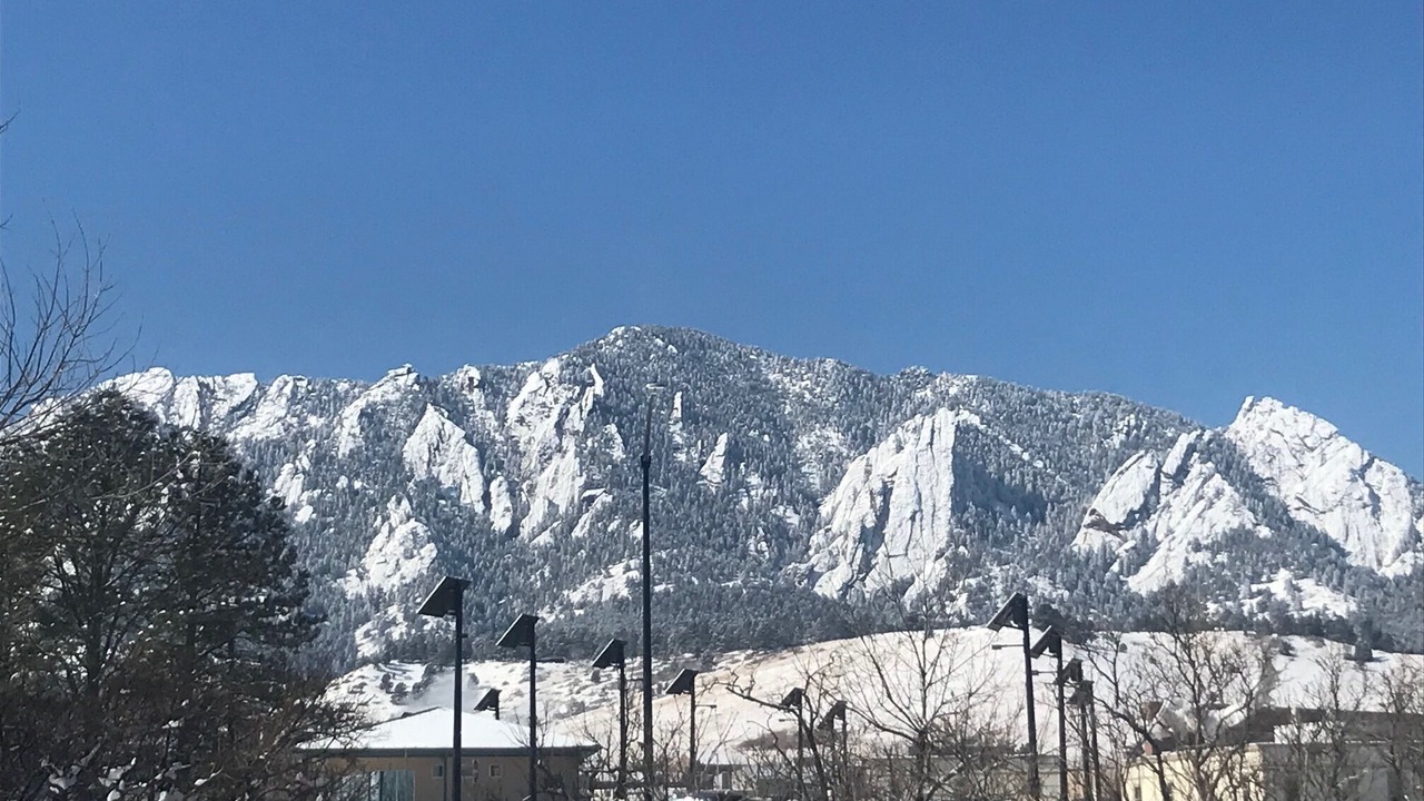 Photo of Others in Martin Acres