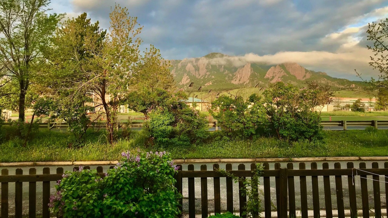 Photo of Outdoor in Martin Acres