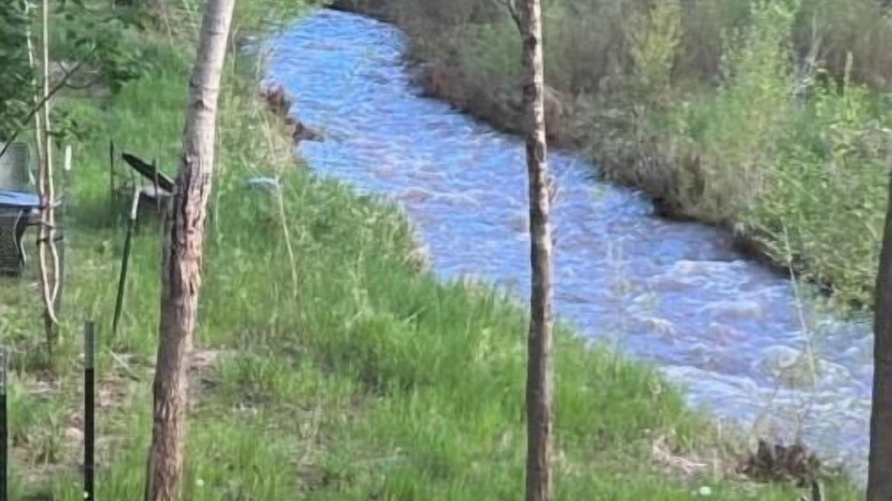Photo of Others in La Veta