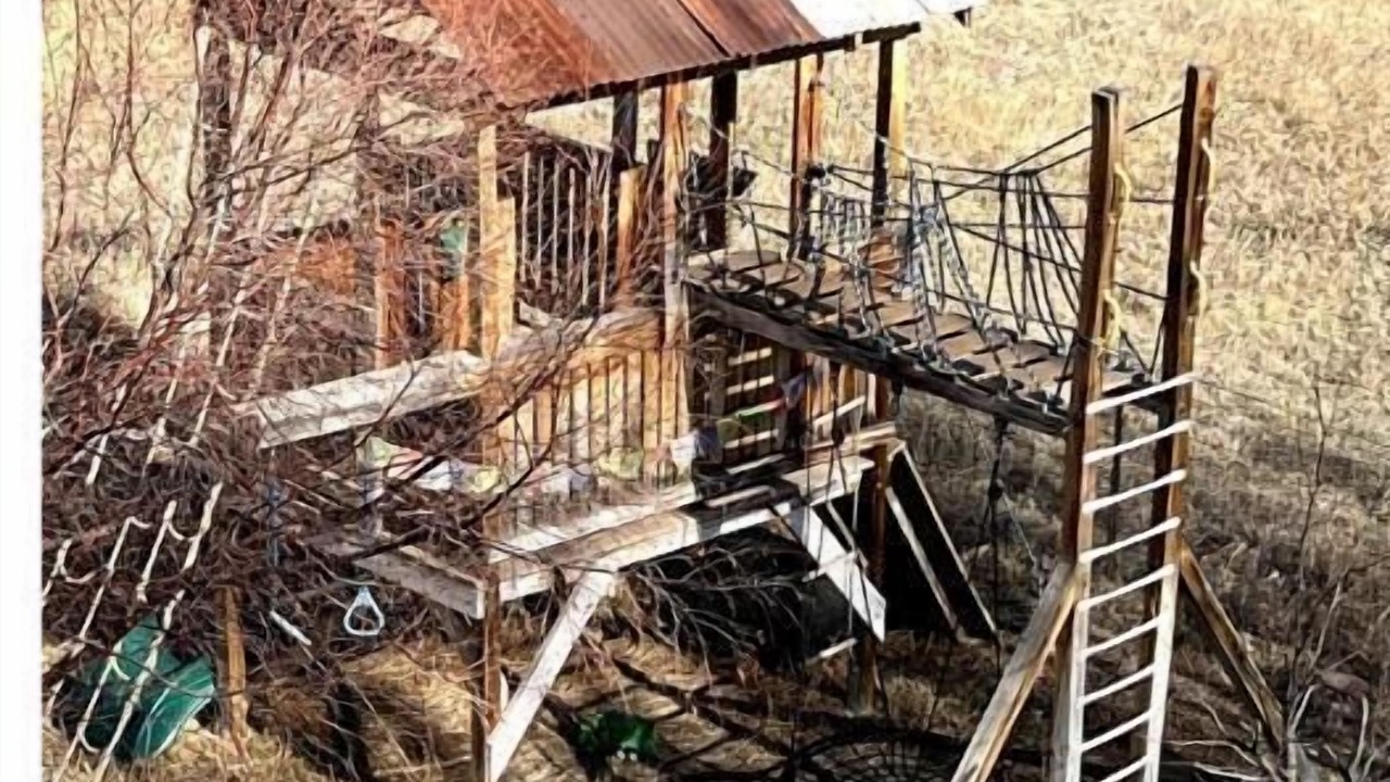 Photo of Others in La Veta
