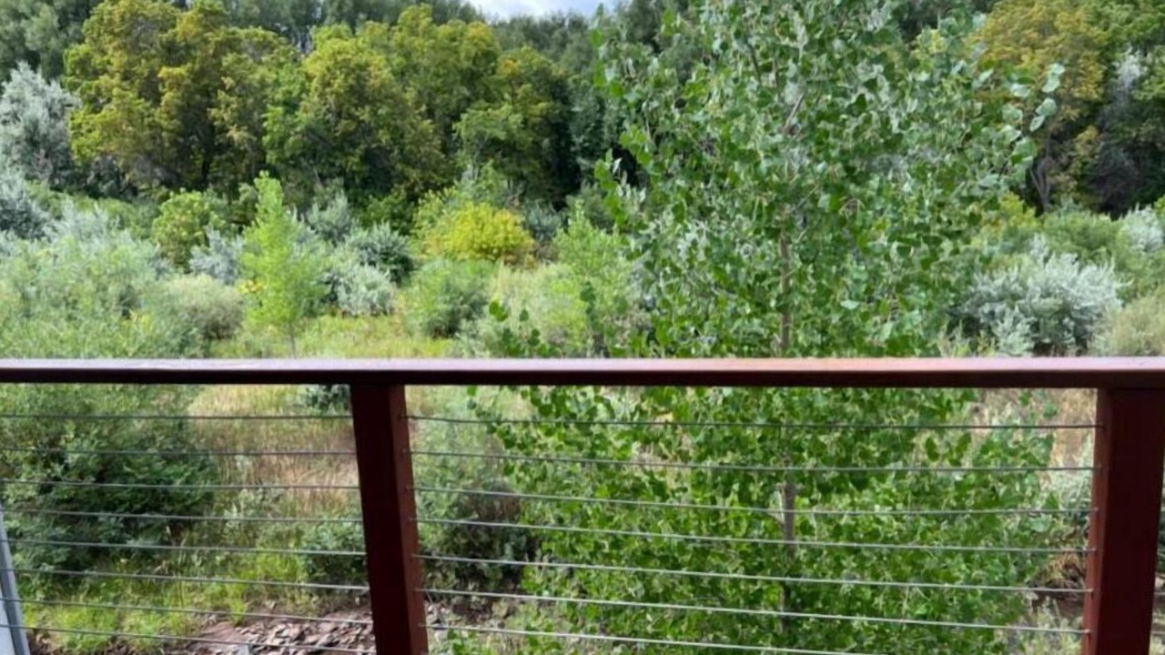 Photo of Outdoor in La Veta
