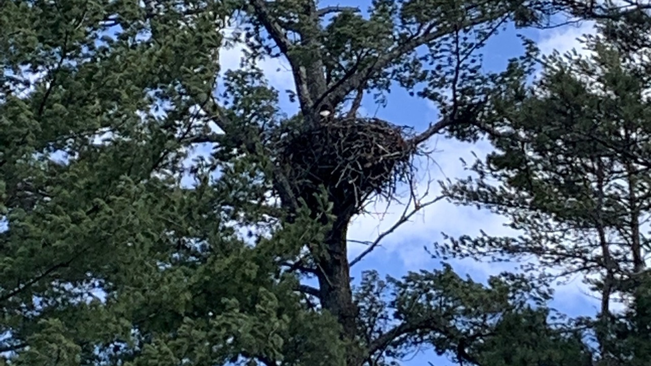 Photo of Outdoor in Lake Tomahawk