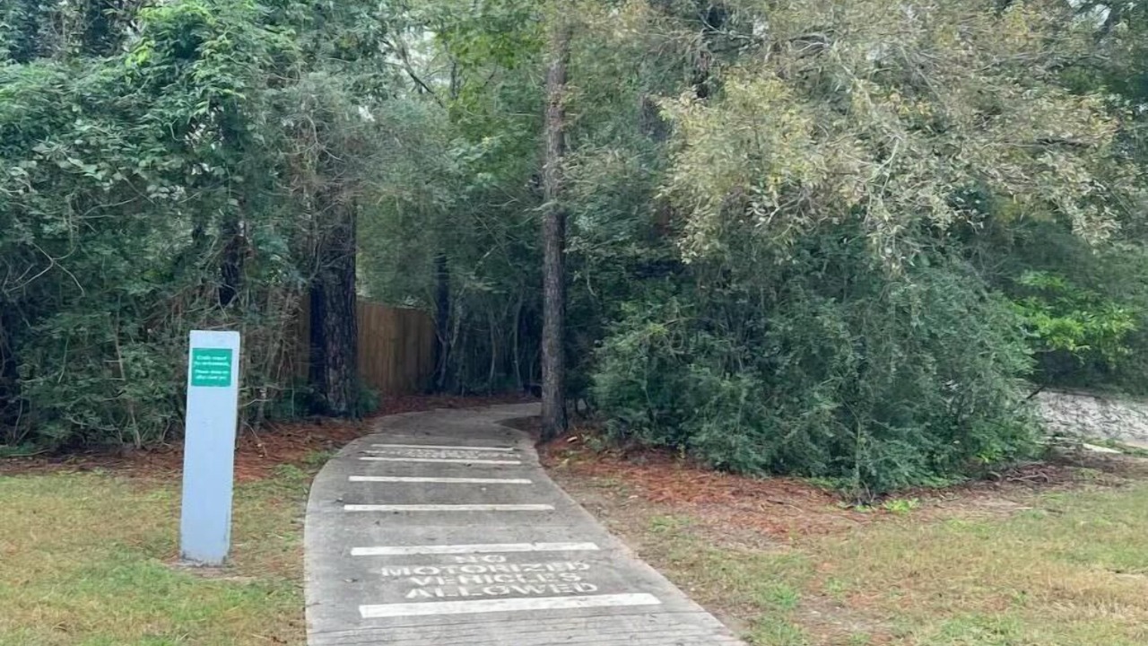 Photo of Outdoor in Grogan's Mill