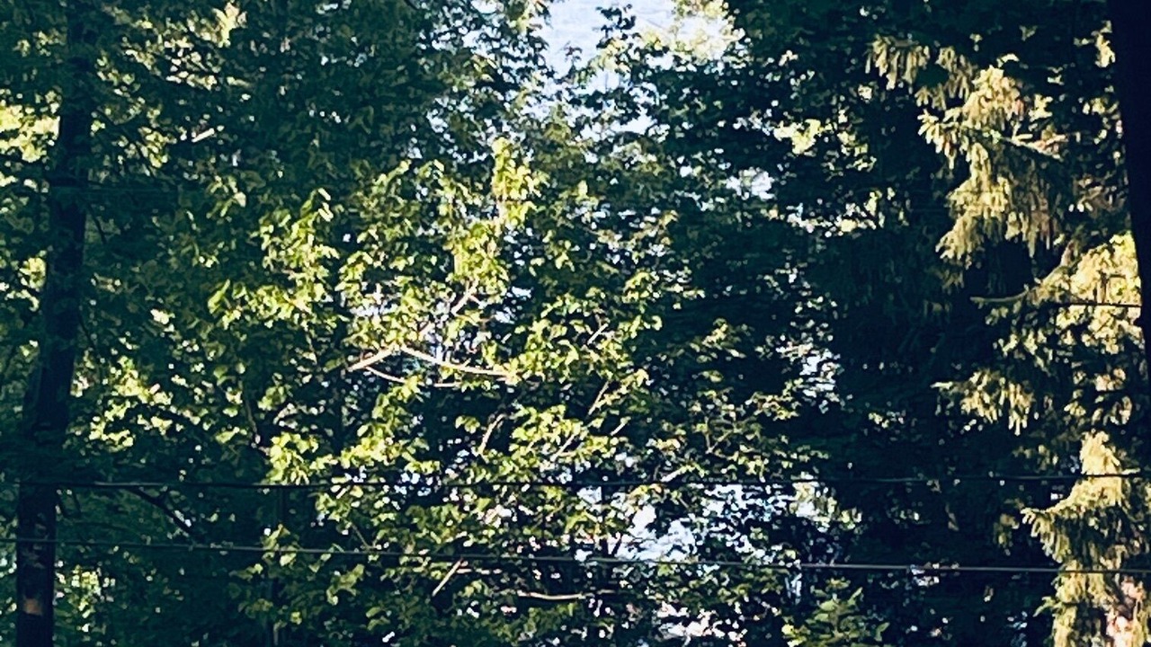 Photo of Outdoor in Ashville