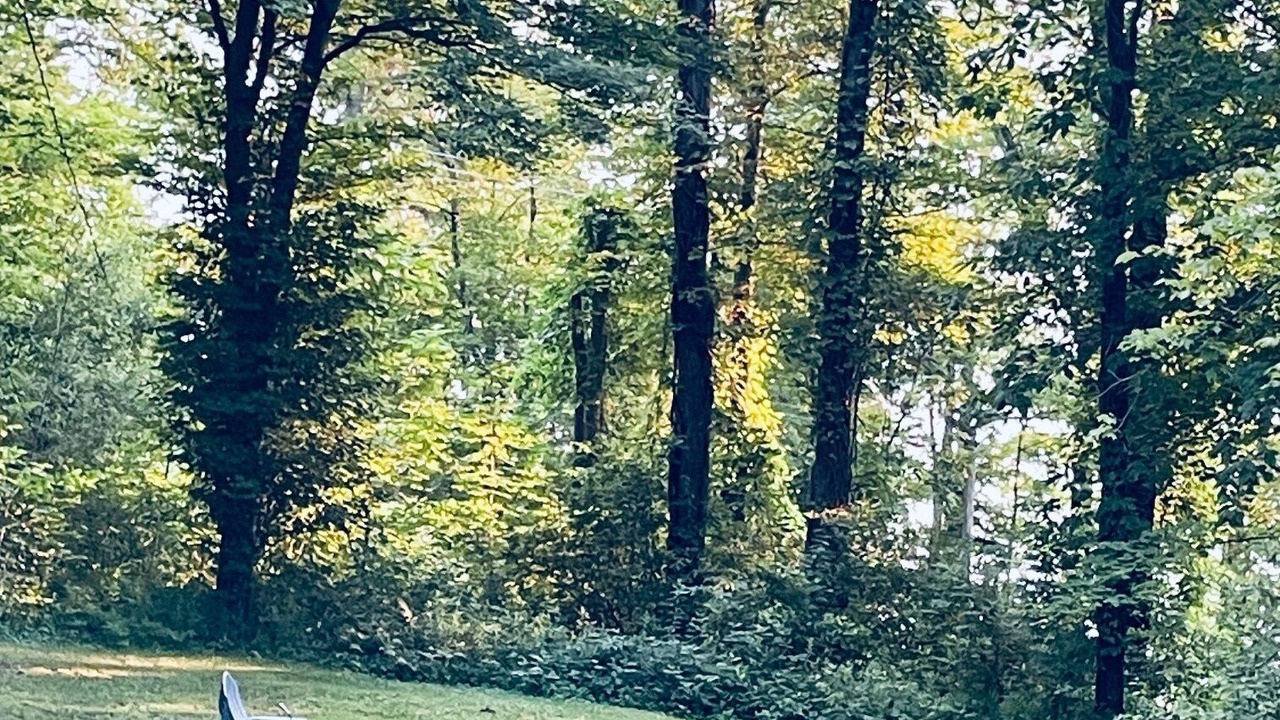 Photo of Outdoor in Ashville