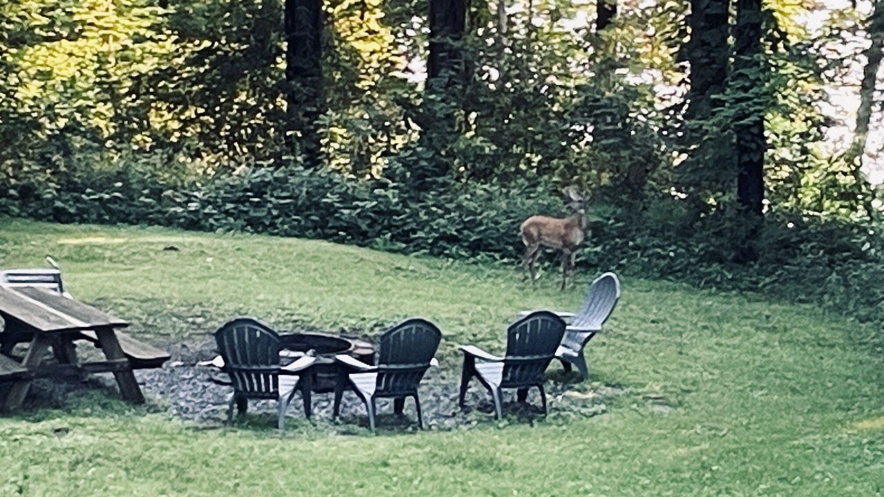 Photo of Others in Ashville